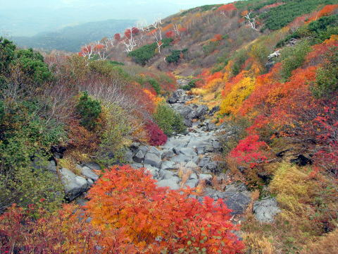 信州の山歩きと山岳空撮